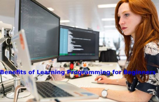 Basics of Computer Programming for Beginners Step-By-Step